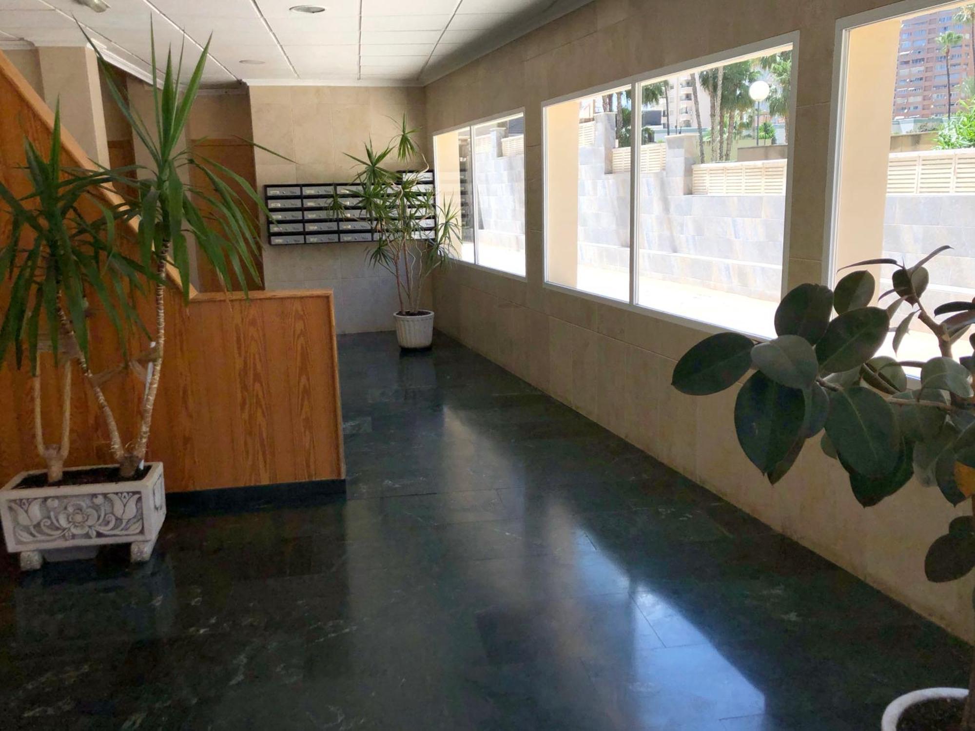 Niza 3B Holiday Apt 貝尼多姆 外观 照片